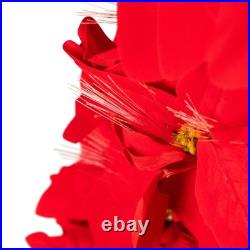 Northlight Pre-Lit Fiber Optic Color Changing Red Poinsettia Christmas Tree