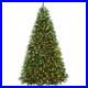 OPEN_BOX_9_ft_Spruce_Artificial_Christmas_Tree_with_White_Lights_Stand_01_wq