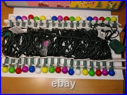 Olive the Other Reindeer Indoor/Outdoor Mini Lights Nordstrom. New RARE