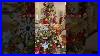 Our_Most_Beautiful_Christmas_Tree_Decor_2024_Christmas_Shorts_Merrychristmas_2024_Canada_World_01_xuhs