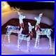 Outdoor_Christmas_Decorations_Deer_Family_3_Piece_Lighted_Prismatic_01_trx