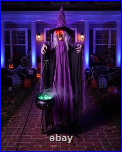 Outdoor Halloween Decorations Animatronics Witch with Witches Cauldron, Outdoor