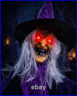 Outdoor Halloween Decorations Animatronics Witch with Witches Cauldron, Outdoor
