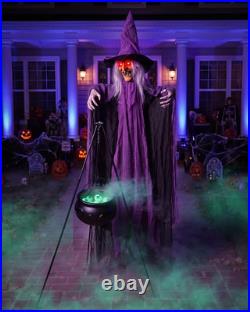 Outdoor Halloween Decorations Animatronics Witch with Witches Cauldron, Outdoor
