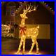 PEIDUO_Gold_Reindeer_Outdoor_Christmas_Decorations_5Ft_Lighted_Christmas_Yard_01_oqdm