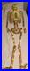 POTTERY_BARN_Light_Up_Mr_Bones_Skeleton_Gold_NWT_01_iwj
