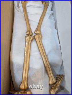 POTTERY BARN Light-Up Mr. Bones Skeleton Gold NWT