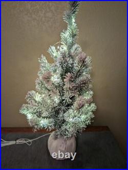 POTTERY BARN TEEN LoveShackFancy Decorated Mini Tree (2 Ft.)-OPEN BOX