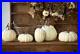 Park_Hill_Full_Moon_Faux_Pumpkin_Collection_Set_of_5_NEW_01_ubq