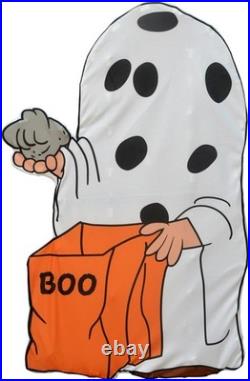 Peanuts Gang LED 2D It's The Great Pumpkin Charlie Brown Trick or Treaters Peanuts Gang LED 2D It's The Great Pumpkin Charlie Brown Trick or Treaters