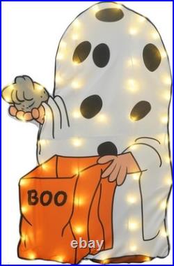 Peanuts Gang LED 2D It's The Great Pumpkin Charlie Brown Trick or Treaters Peanuts Gang LED 2D It's The Great Pumpkin Charlie Brown Trick or Treaters