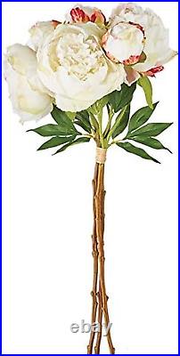 Peony Bundle/3 Cream