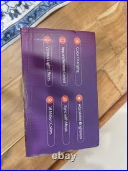 Permanent Outdoor Light Waterproof For Outdoor Decor Party, Holiday Day