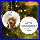 Pet_Watercolor_Xmas_Ornament_Custom_Ornament_Christmas_Dog_Ornament_Hanging_01_staa