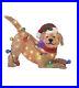 Playful_Goldendoodle_Holiday_Living_24_Christmas_Indoor_Outdoor_Lighted_Decor_01_sl