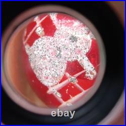 Poland Vintage Stunning Christmas Ornaments 12pcs Rare Xmas Balls Decor Polish