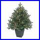 Potted_Artificial_Prelit_Blue_Spruce_Tree_36_01_eiqz