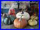 Pottery_Barn_And_Crate_Barrel_Faux_Pumpkin_Set_11_nwt_Simply_Gourd_geous_01_kl