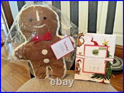 Pottery Barn Holiday Gingerbread Grinch Christmas Seuss Disney wool pillow SET