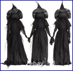 Pottery Barn Lit Halloween Witches Outdoor Stakes, 52H Set of 3