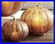 Pottery_Barn_Textured_Glass_Amber_Pumpkin_Cloches_Set_of_Two_Decor_Discontinued_01_vx