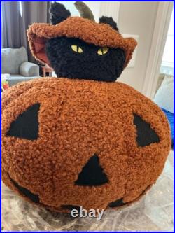 Pottery barn Peek A Boo Cat Pillow-NWT