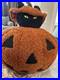 Pottery_barn_Peek_A_Boo_Cat_Pillow_NWT_01_xp