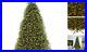 Pre_Lit_Artificial_Full_Green_Dual_Color_LED_Lights_9ft_Christmas_Tree_01_yy