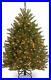 Pre_Lit_Artificial_Mini_Christmas_Tree_Green_Dunhill_Fir_White_Lights_Includ_01_qs