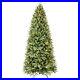 Pre_Lit_Artificial_Pencil_Christmas_Pine_Tree_4_9ft_with_Lights_for_Decoration_01_ws