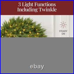 Pre-Lit Cedar Cypress Christmas Realistic Wreath with Twinkling LEDs