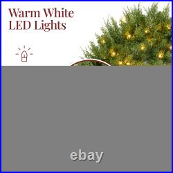 Pre-Lit Cedar Cypress Christmas Realistic Wreath with Twinkling LEDs