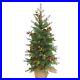 Pre_Lit_Feel_Real_Artificial_Mini_Christmas_Tree_Green_Nordic_Spruce_Whi_01_ri