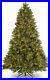 Pre_Lit_Feel_Real_Artificial_Slim_Christmas_Tree_Green_Tiffany_Fir_White_Light_01_ihz