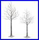 Pre_Lit_Flocked_Artificial_Birch_Tree_296_Warm_White_LED_Lights_Set_of_2_01_mwc
