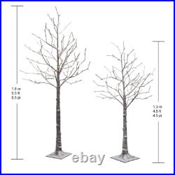 Pre Lit Flocked Artificial Birch Tree Set Of Two, Warm White 1598448 New