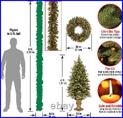 Pre-Lit Holiday Christmas 5-Piece Set Wreath, Set of 2 Entrance Trees and Garl