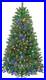 Pre_lit_Christmas_Tree_Green_Artificial_Christmas_Tree_with_Changing_LED_Lights_01_nkzm