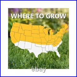 Premium Seed for Lush Lawn, Family Friendly, Fast Germination & Growth Premium Seed for Lush Lawn, Family Friendly, Fast Germination & Growth