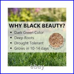 Premium Seed for Lush Lawn, Family Friendly, Fast Germination & Growth Premium Seed for Lush Lawn, Family Friendly, Fast Germination & Growth