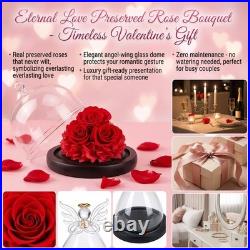 Preserved Rose Bouquet in Elegant Glass Dome Archangel Collection Holiday Gift