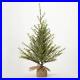Primitive_Christmas_3_Chartreuse_Farmhouse_Pine_Tree_01_ow