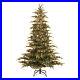 Puleo_International_6_5_Foot_Dans_Mountain_Fir_Prelit_Full_Christmas_Tree_Used_01_caes