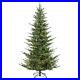 Puleo_International_6_5_Pre_Lit_Natural_Fir_Christmas_Tree_Green_6_5_01_rwk