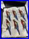 RARE_Frontgate_Holiday_Collection_SET_6_MACAW_PARROT_Glass_Christmas_Ornaments_01_rkw