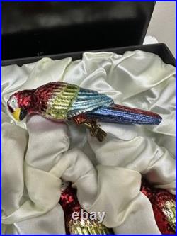 RARE Frontgate Holiday Collection SET 6 MACAW PARROT Glass Christmas Ornaments