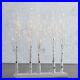 Raz_Imports_30_Lighted_Faux_Birch_Tree_Grove_with_88_LED_Lights_Christmas_Holiday_01_mkxo