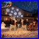 Reindeer_Christmas_Decoration_for_Yard_3_Piece_Light_Up_Reindeer_Family_for_01_yusb