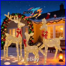 Reindeer Christmas Decoration for Yard, 3-Piece Light Up Reindeer Family for