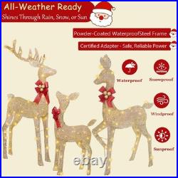 Reindeer Christmas Decoration for Yard, 3-Piece Light Up Reindeer Family for